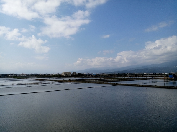 p_IMG_20150116_103538