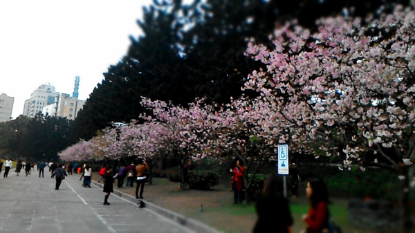 p_P_20150303_173048_MT