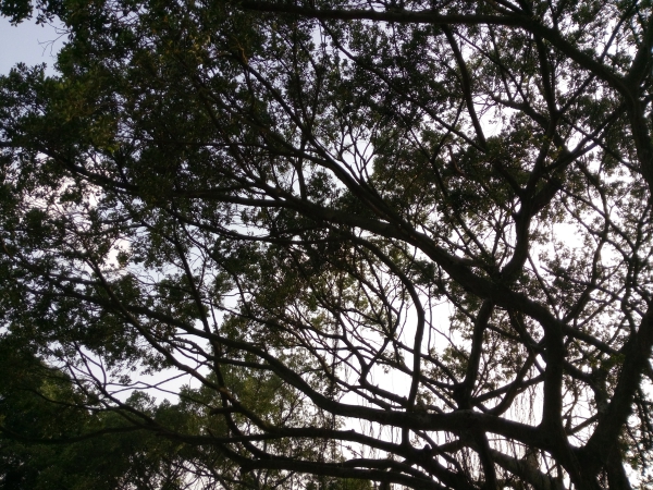 p_IMG_20150712_172129