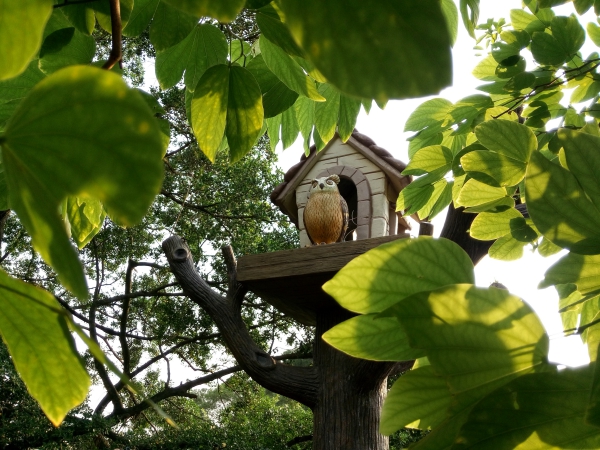 p_IMG_20150712_172444