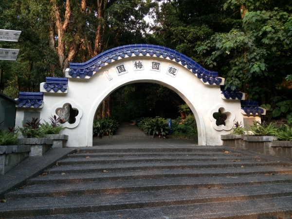 p_IMG_20150712_174051