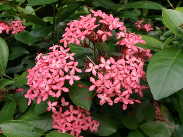 p_IMG_20150712_174132