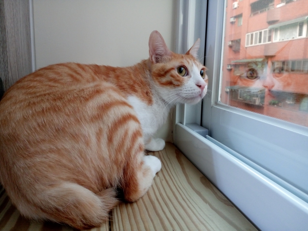 p_IMG_20150712_183031