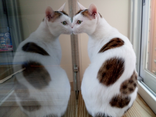 p_IMG_20150712_183127