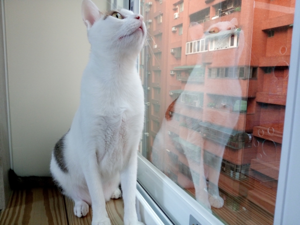 p_IMG_20150712_183326