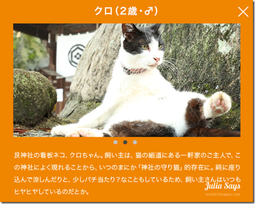 【貓的視界】喵星人導遊帶路囉! 街景地圖帶你神遊廣島尾道貓之細道 【貓的視界】喵星人導遊帶路囉! 街景地圖帶你神遊廣島尾道貓之細道