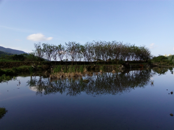 p_IMG_20150925_154825