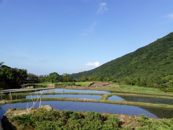 p_IMG_20150925_155144