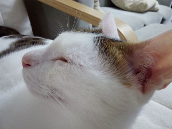 p_IMG_20150927_160846