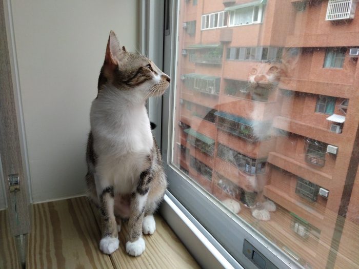 IMG_20160521_024729310