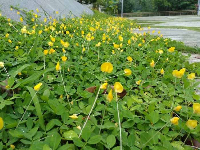 IMG_20160521_164810179