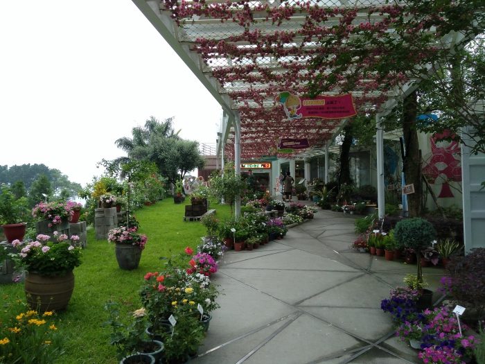 IMG_20160521_164831795