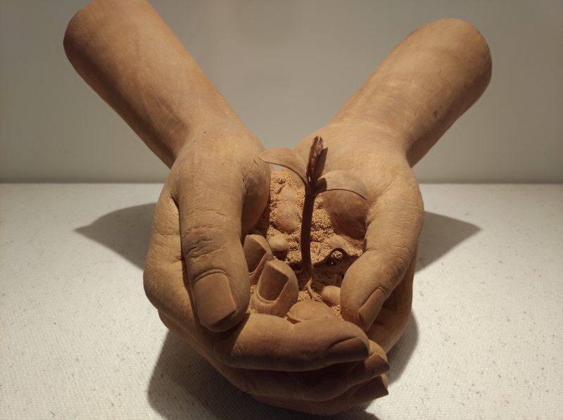 P_20160819_114334_vHDR_Auto