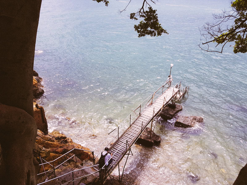 用手機搞定香港四天三夜旅遊全記錄，照片、影片樣樣行