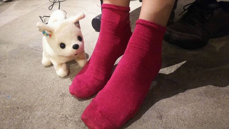 創意無限! 日本超紅智慧機器狗，聞聞看你的腳有多臭!