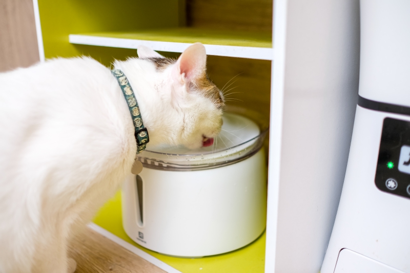 淘寶敗家心得 - 霍曼寵物智慧飲水器，三重過濾、缺水自動斷電