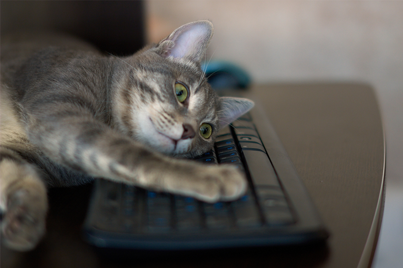 BlueLife KeyFreeze - 一次鎖住你的鍵盤與滑鼠，不讓小孩或寵物亂按