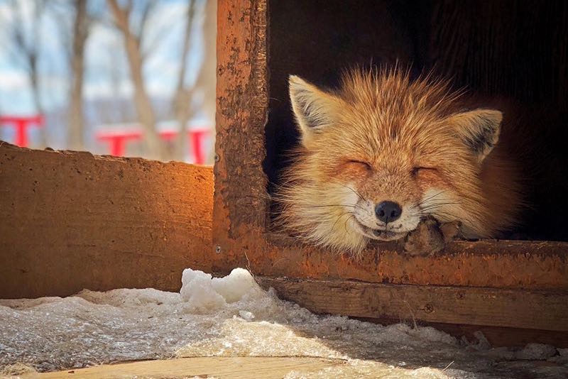 2018 IPPAWARDS 得獎名單出爐，有兩名台灣攝影師得獎了！