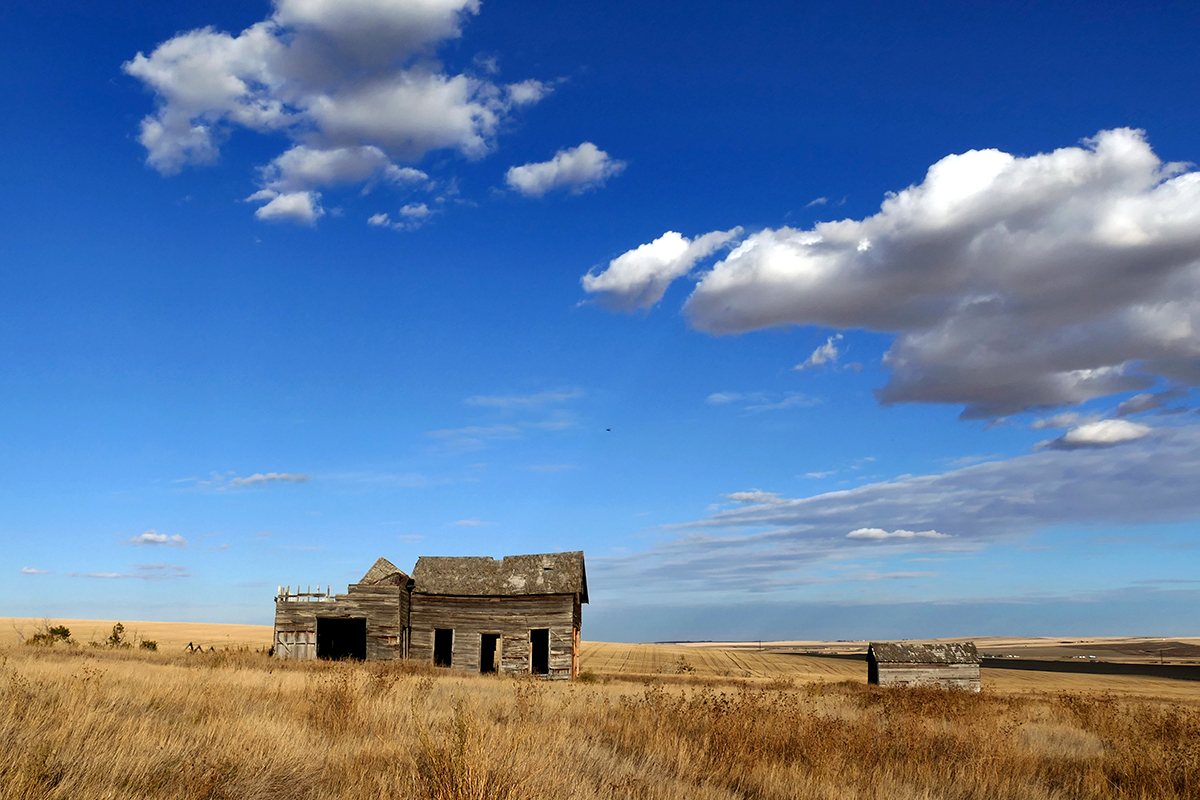 出門前上網查天氣不夠準確？那就直接看看當地的即時影像吧