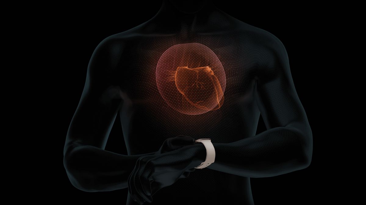 Apple Watch 心電圖功能即將在 12/15 日開放，安裝設定注意二三事