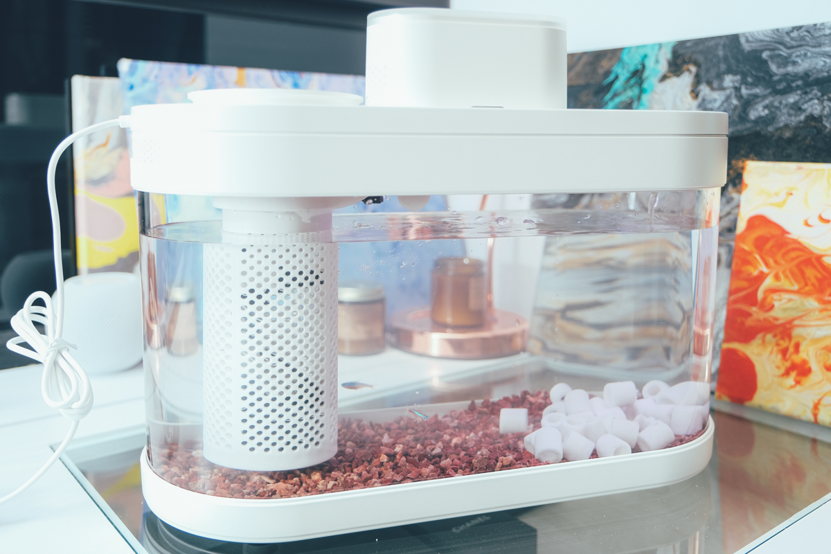 DESGEO 智慧生態魚缸開箱，新手上路養魚化繁為簡