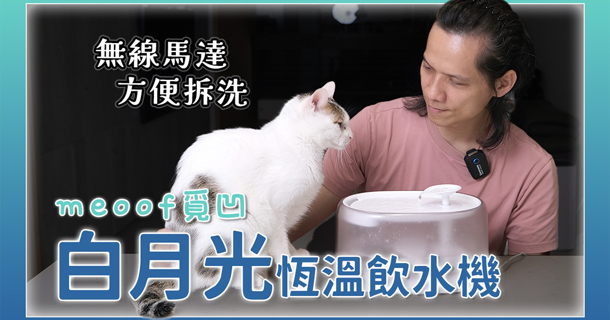 史上最好用的寵物飲水機推薦「meoof｜白月光恆溫飲水機」開箱！
