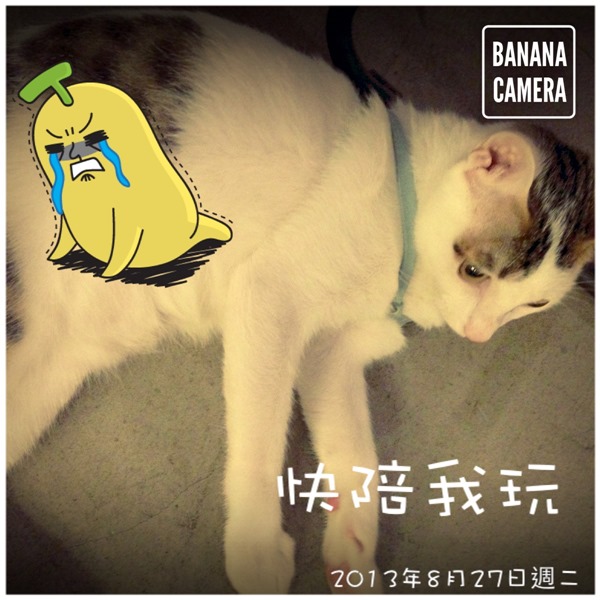 相片 13-8-27 20 37 16