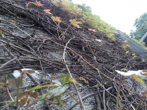 IMG_20140101_081439_1