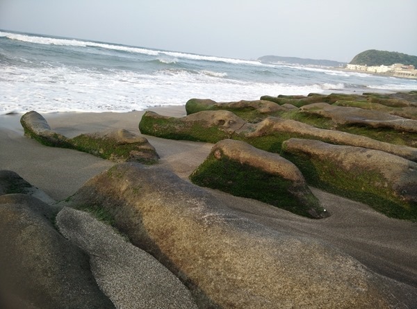 IMG_20140801_175001 IMG_20140801_175001