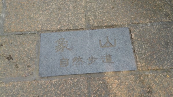 11832342484_495a5a6e41_o