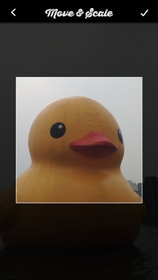 clip_image006 clip_image006