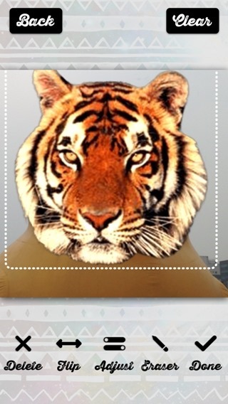 clip_image009 clip_image009