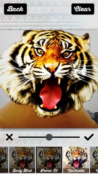 clip_image016 clip_image016