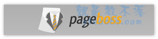 《PageBoss》免費線上SEO簡易檢測網站服務