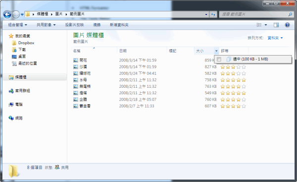 Windows 7專用《Explorer7Fixes》讓所有的檔案瀏覽模式都能夠篩選排序