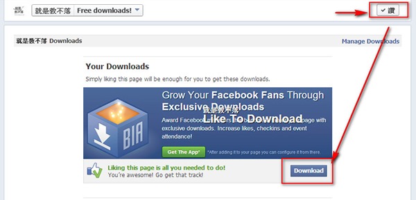 Facebook 應用程式《Like To Download》讓訪客按讚加入粉絲團才能取得下載連結